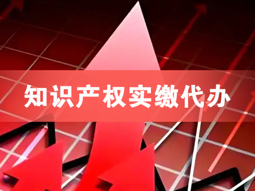 随州知识产权实缴资本代办